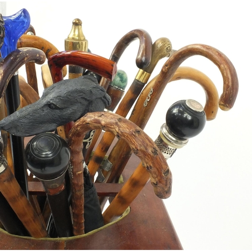 2019 - Large collection of assorted walking sticks in a walnut stand, including animal heads examples