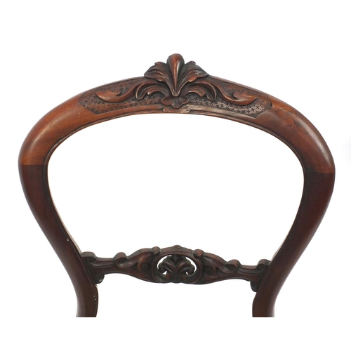 2027 - Set of six Victorian style mahogany balloon back dining chairs, each with carved acanthus leaf crest... 