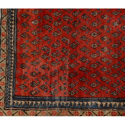 2031 - Rectangular Middle Eastern Arak rug, the central field having an all-over Boteh design onto a red gr... 