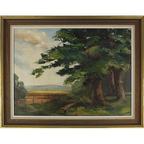 75 - J Redden - Oil onto board, trees beside an extensive landscape, framed, 58cm x 44cm excluding the fr... 