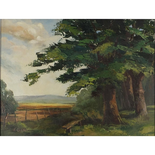 75 - J Redden - Oil onto board, trees beside an extensive landscape, framed, 58cm x 44cm excluding the fr... 