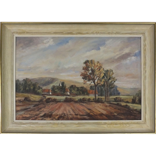 76 - Janet Redden - Oil onto board, agricultural landscape, framed, 61cm x 41cm excluding the frame