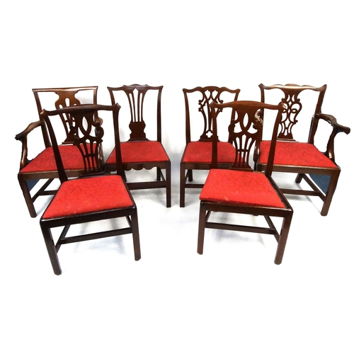 25 - Georgian harlequin set of six chairs with drop in seats including two carvers