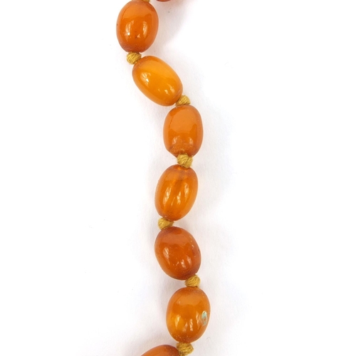 830 - Butterscotch amber coloured bead necklace, 50cm long, approximate weight 14.8g