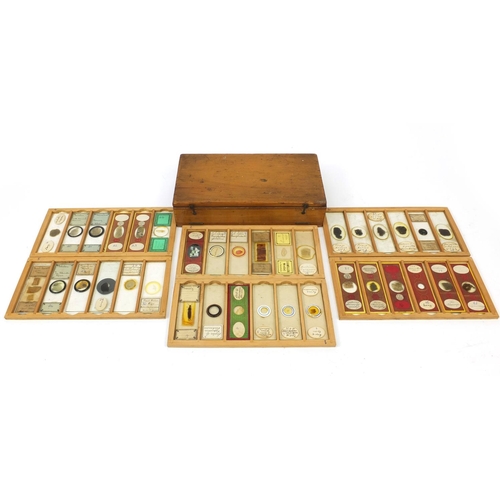 153 - Mahogany case of students microscopic specimen glass slides, some prepared by E Wheeler of London an... 