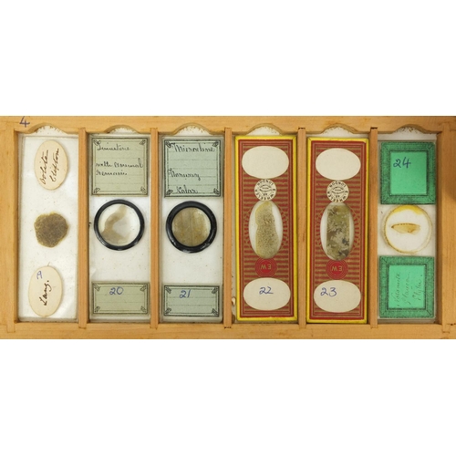 153 - Mahogany case of students microscopic specimen glass slides, some prepared by E Wheeler of London an... 