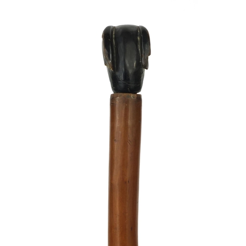 26 - Wooden walking stick with carved horn handle in the form of a dogs head, with beaded glass eyes, 88c... 