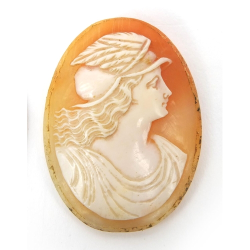 2499 - Three assorted cameos - two of maidens and one of a classical figure, the largest 6cm x 4cm