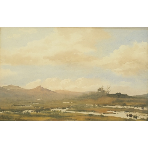 1040 - J Woodhouse Stubbs - Watercolour, moorlands before mountains, mounted and framed, 36cm x 26cm exclud... 