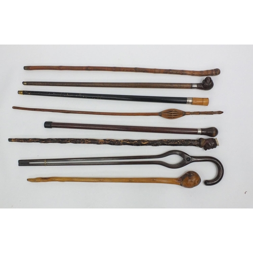 145 - Collection of wooden walking sticks including naturalistic examples