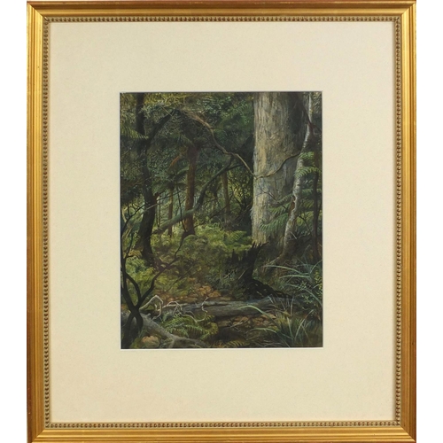 934 - Watercolour, stream running through a forest, possibly New Zealand, mounted and gilt framed, 27cm x ... 