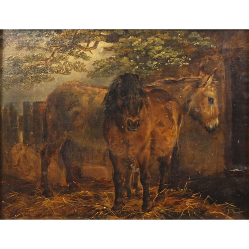 998 - 19th century oil onto canvas laid onto board, Shetland Pony and a donkey, gilt framed, 19cm x 16cm e... 