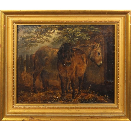 998 - 19th century oil onto canvas laid onto board, Shetland Pony and a donkey, gilt framed, 19cm x 16cm e... 