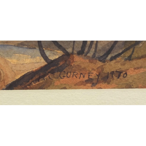 1007 - Betty Gurney 1970 - Watercolour, mountain river landscape, inscribed label verso, mounted and framed... 