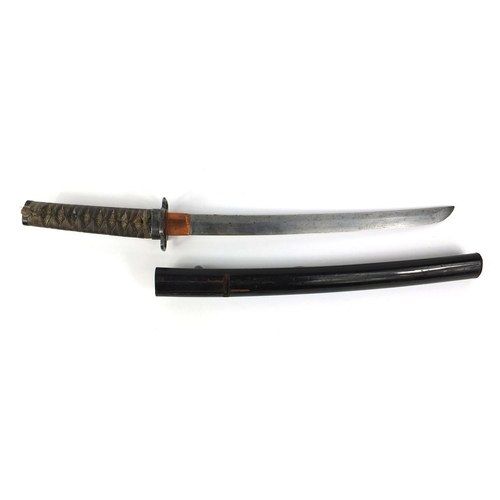 499 - Japanese Samurai sword and lacquered scabbard, with shragreen grip and steel tsuba, 58cm long