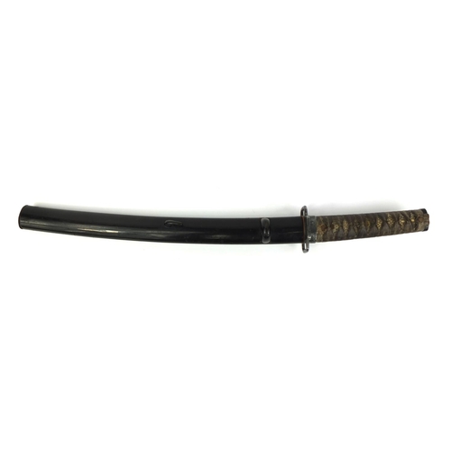 499 - Japanese Samurai sword and lacquered scabbard, with shragreen grip and steel tsuba, 58cm long