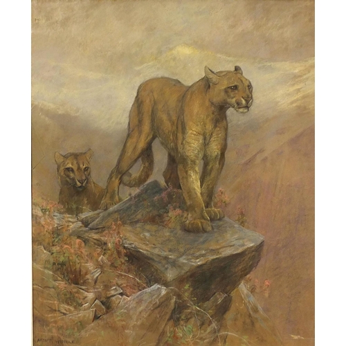 982 - Arthur Wardle - Pastel, mountain lions, mounted and gilt framed, 85cm x 70cm excluding the mount and... 