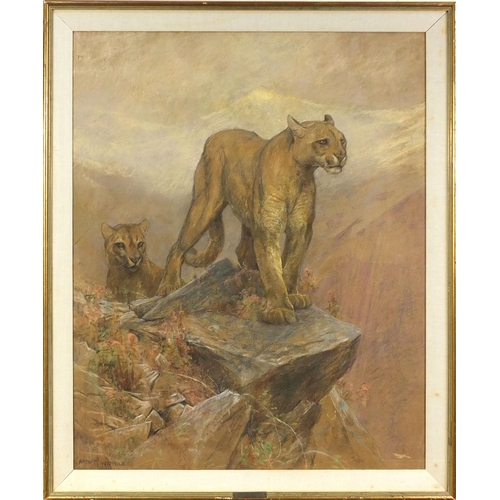 982 - Arthur Wardle - Pastel, mountain lions, mounted and gilt framed, 85cm x 70cm excluding the mount and... 