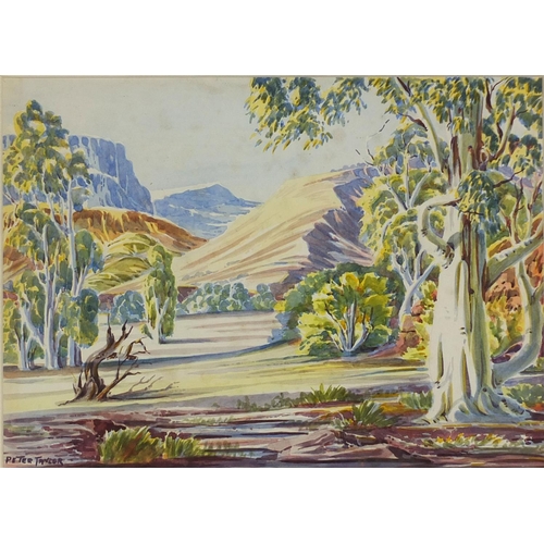 1028 - Peter Taylor Tjutjatja - Watercolour, Australian outback, inscribed verso, mounted and framed, 35cm ... 