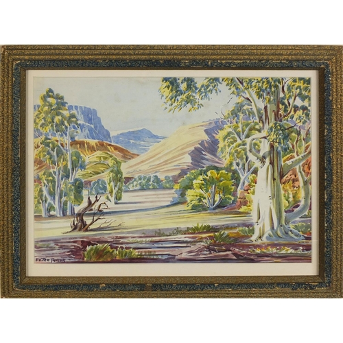 1028 - Peter Taylor Tjutjatja - Watercolour, Australian outback, inscribed verso, mounted and framed, 35cm ... 