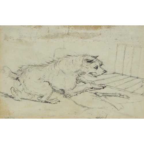 1038 - Attributed to Samuel Alken, watercolour sketch onto paper, resting dog with a bone, indistinctly sig... 