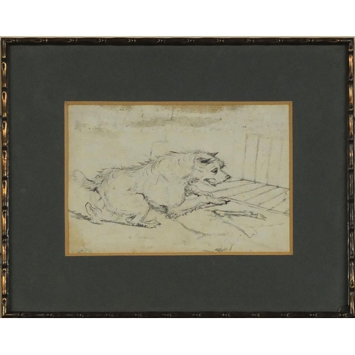 1038 - Attributed to Samuel Alken, watercolour sketch onto paper, resting dog with a bone, indistinctly sig... 