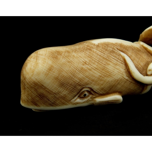 452 - Japanese carved ivory Netski in the form of an octopus on a Sperm Whale, character marks to the base... 