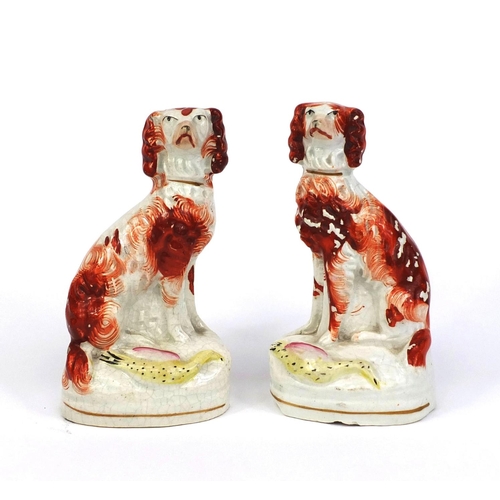 537 - Pair of 19th century Staffordshire pottery Spaniels hand painted in iron reds and gilded collars, th... 