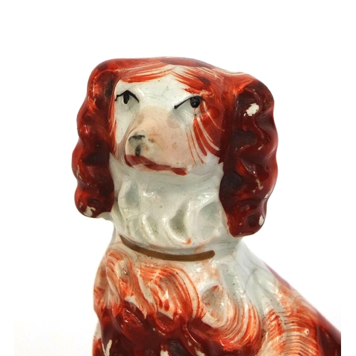 537 - Pair of 19th century Staffordshire pottery Spaniels hand painted in iron reds and gilded collars, th... 