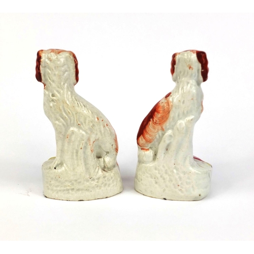 537 - Pair of 19th century Staffordshire pottery Spaniels hand painted in iron reds and gilded collars, th... 