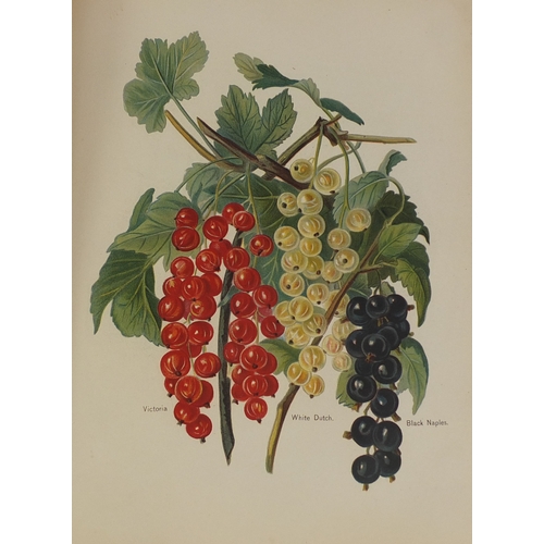 183 - The Fruit Growers Guide - Five hardback books, volumes one, two, three, four and five, with coloured... 