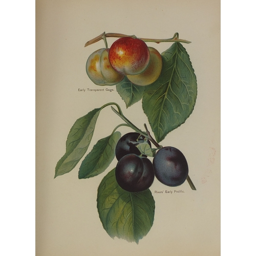 183 - The Fruit Growers Guide - Five hardback books, volumes one, two, three, four and five, with coloured... 