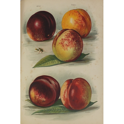 183 - The Fruit Growers Guide - Five hardback books, volumes one, two, three, four and five, with coloured... 