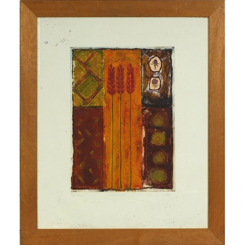 2389 - D L Croft - Pencil signed limited edition coloured print, titled Harvest, 5/75 unique, mounted and f... 