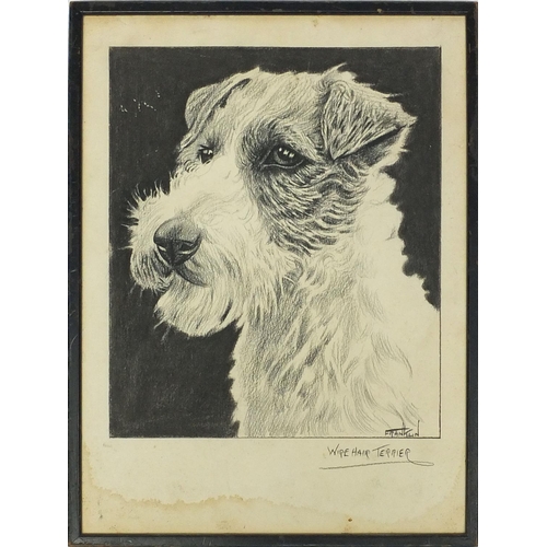 170 - Charcoal drawing of a wire haired Terrier, signed Franklin, 37cm x 27cm excluding the frame