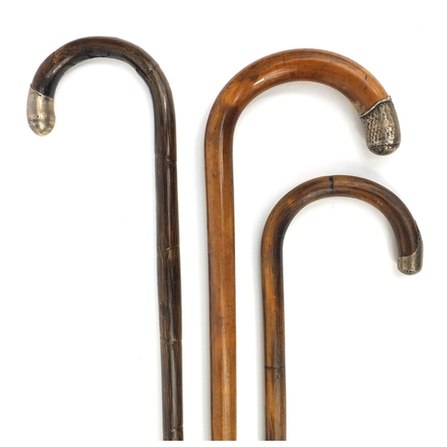 2367 - Group of three silver mounted walking canes including two bamboo examples, the largest 93cm long