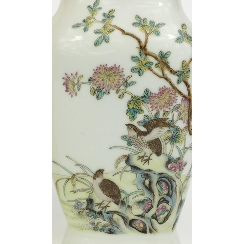 366 - Group of Chinese ceramics including an iron red twin handled vase, hand painted with birds of Paradi... 