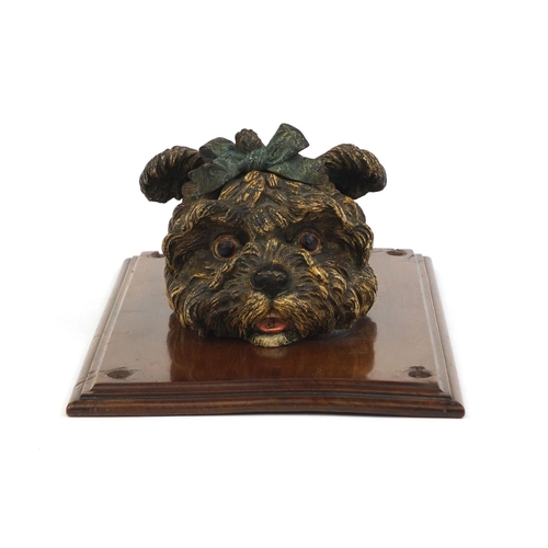 4 - Vienna cold painted bronze Yorkshire Terrier letter clip, wearing a bow, on a mahogany wall plauqe, ... 