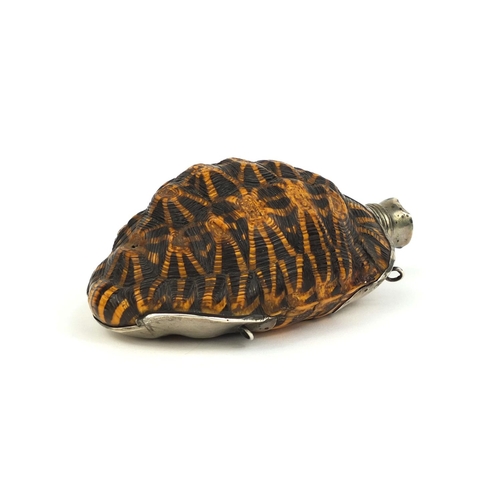 110 - Taxidermy interest antique unmarked silver mounted tortoise powder flask, 12.5cm high
