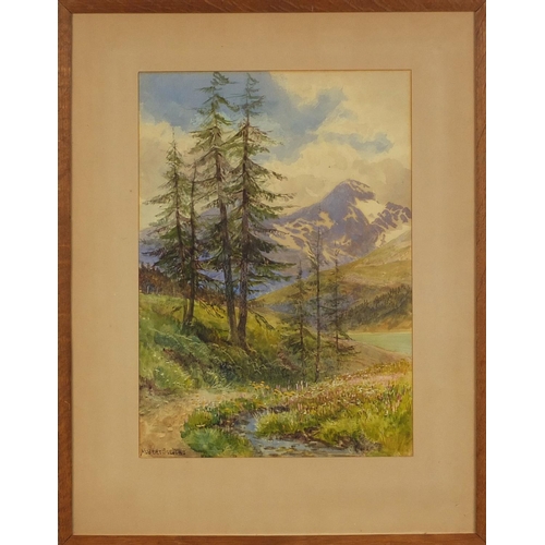 946 - Albert Stevens - Watercolour, mountain landscape, label verso, mounted and framed, 38cm x 28cm exclu... 