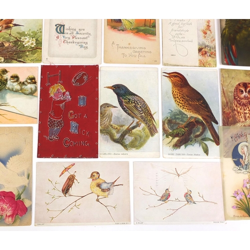 213 - Group of postcards including greetings, celluloid and bird examples