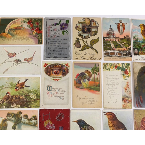 213 - Group of postcards including greetings, celluloid and bird examples