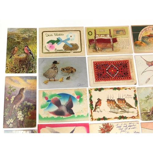 213 - Group of postcards including greetings, celluloid and bird examples