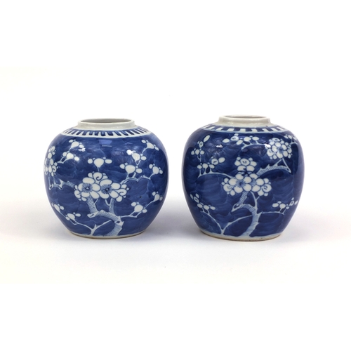 412 - Two Chinese blue and white porcelain ginger jars, both hand painted with Prunus flowers, blue ring m... 