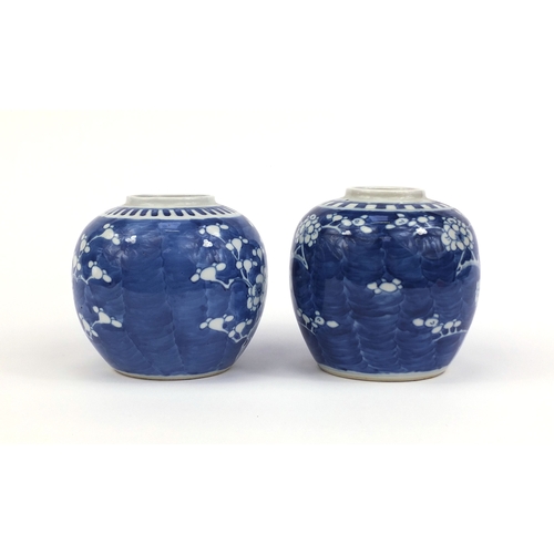 412 - Two Chinese blue and white porcelain ginger jars, both hand painted with Prunus flowers, blue ring m... 