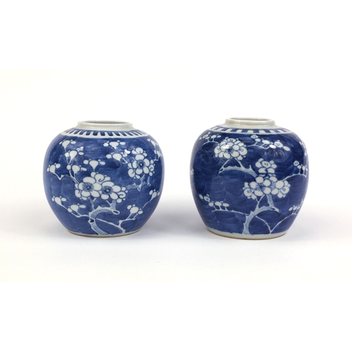 412 - Two Chinese blue and white porcelain ginger jars, both hand painted with Prunus flowers, blue ring m... 