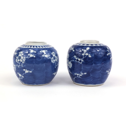 412 - Two Chinese blue and white porcelain ginger jars, both hand painted with Prunus flowers, blue ring m... 