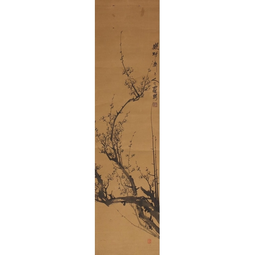 489 - Attributed to Pin Luo Chinese watercolour and ink onto paper scroll, plum blossom tree, character an... 