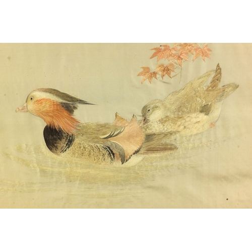 483 - Chinese silk embroidered picture of two ducklings, framed, 79cm x 62cm excluding the frame