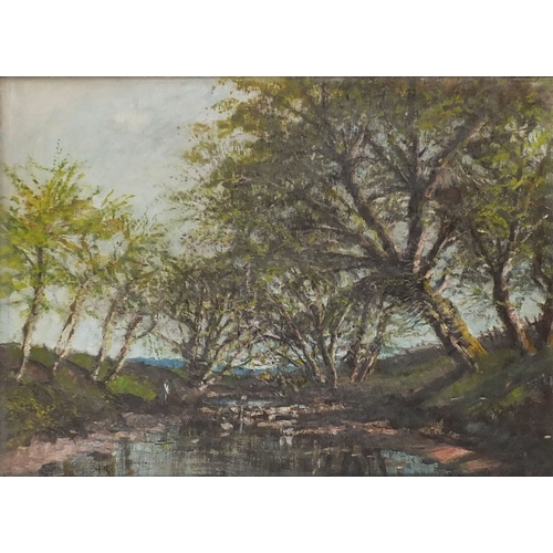 951 - Oil onto canvas, figure beside a tree lined stream, bearing and indistinct signature, framed, 56cm x... 